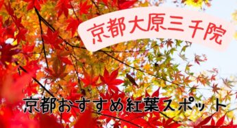 京都の紅葉2023　京都大原三千院の紅葉を楽しもう！見頃はいつ？見所もチエック！