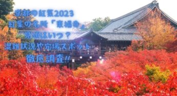 京都の紅葉2023　紅葉の名所「東福寺」見頃はいつ？混雑状況や穴場スポットを徹底調査!!