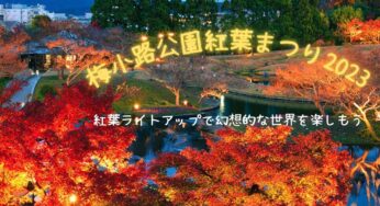 紅葉ライトアップ　京都梅小路公園紅葉まつり2023