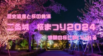 今年も開催！二条城【桜まつり2024】300本の桜と光の共演ライトアップも！