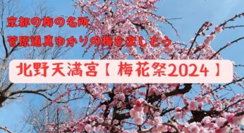 学問の神様・文化芸能の神様　京都北野天満宮【梅花祭2024】へ行こう