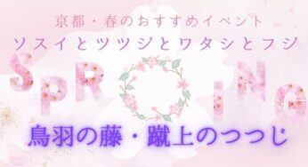 京都・春のおすすめイベント！【鳥羽の藤と蹴上のつつじ】の公開を見に出かけよう！