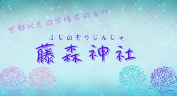 京都伏見・知る人ぞ知る紫陽花の名所【藤森神社】の紫陽花まつりへ行こう！