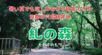 涼しみながら京都観光を楽しむ！京都穴場スポット【糺の森】で夏の京都を満喫しよう！