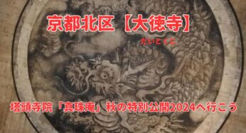 秋の京都観光におすすめ！【大徳寺】塔頭寺院「真珠庵」秋の特別公開2024
