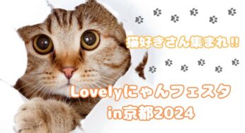 猫好きさん必見‼猫好きさんのためのイベント‼【Lovelyにゃんフェスタin京都2024】開催‼