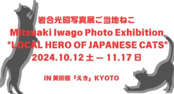 猫好きさん京都に集まれ～！【岩合光昭　写真展　ご当地ねこ】美術館「えき」KYOTO
