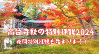 秋に行きたい京都の観光地！京都市東山区【高台寺・秋の特別拝観2024】夜間拝観も始まります！