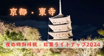 まだ間に合う！【東寺】夜の特別拝観・紅葉ライトアップに行こう‼